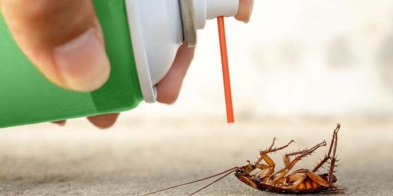 csotanyirtas hazilag wd40